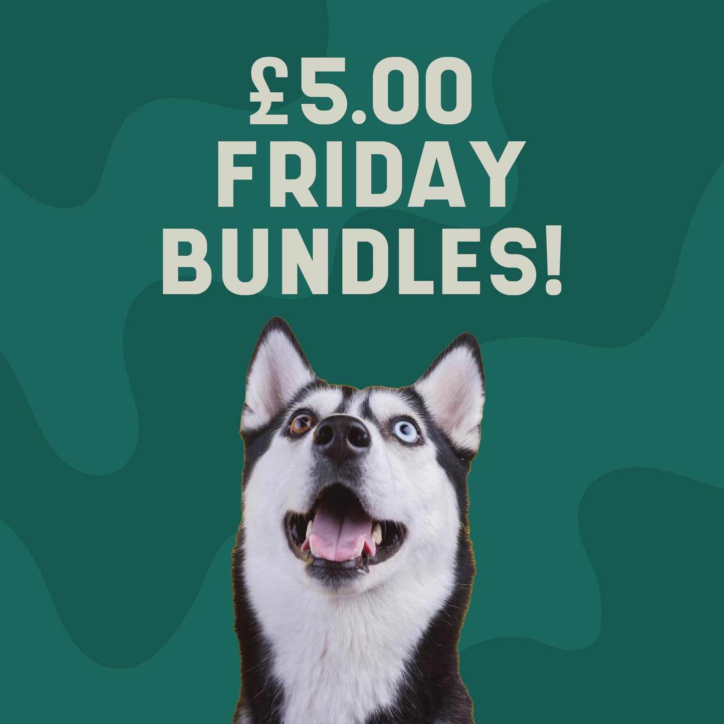 Fiver Friday Bundle 4