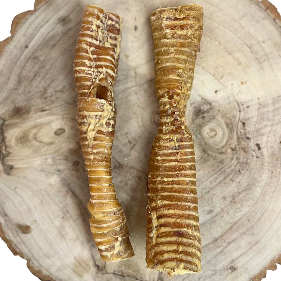 Buffalo Trachea 30cm