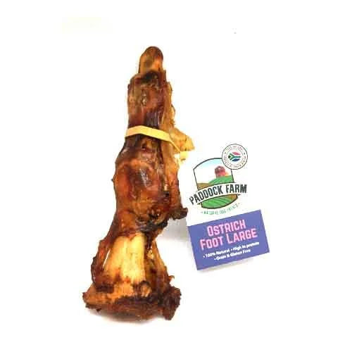 Ostrich Foot (Large)