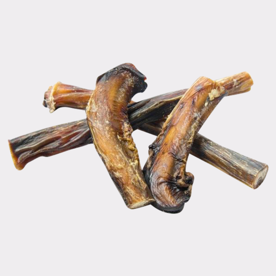 Pizzles "Bully Sticks"