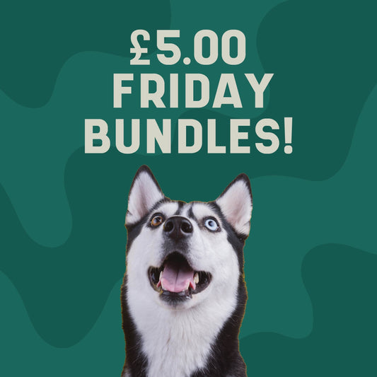 Fiver Friday Bundle 1