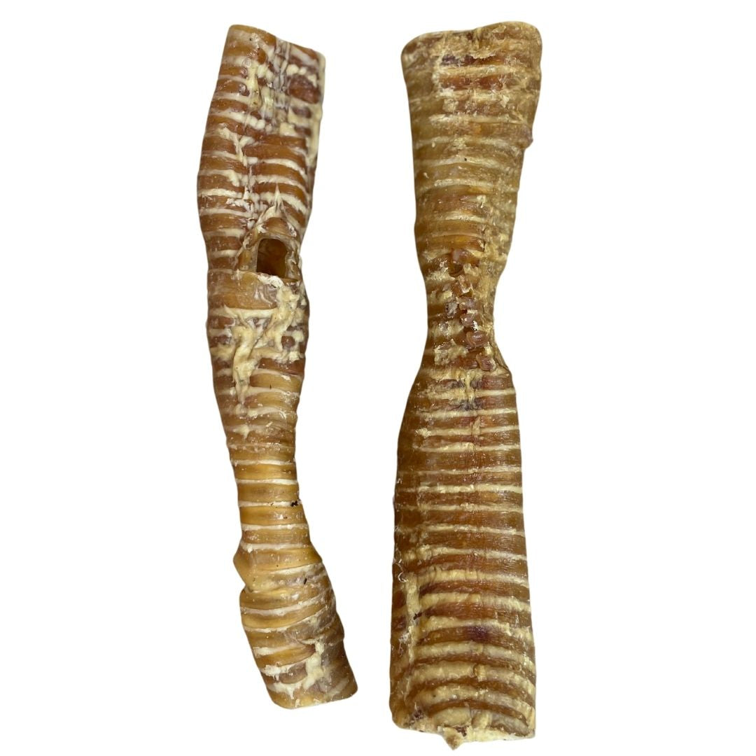 Buffalo Trachea 30cm