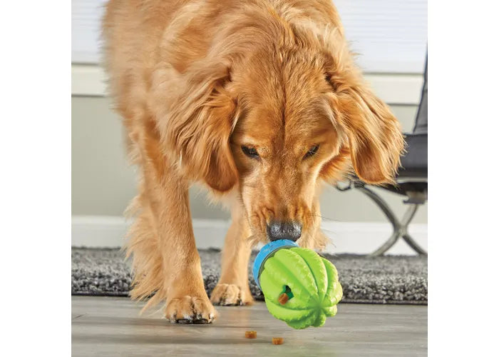 Cactus Surprise Treat Dispensing