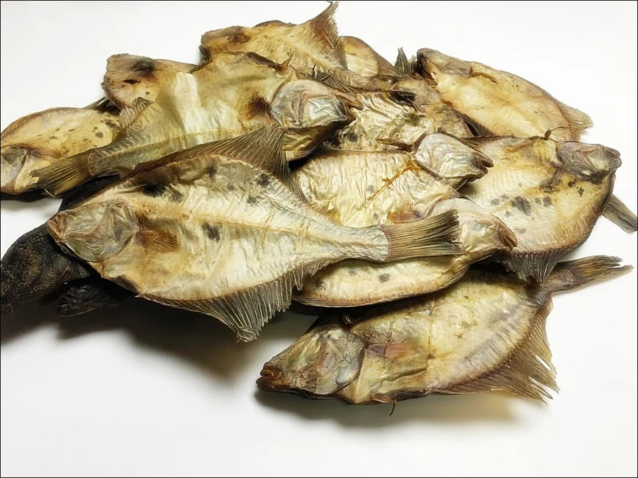 Floner Fish Flounder Fish – Totally Pet Products