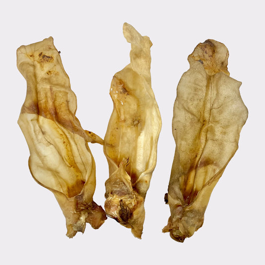 Large Cow Ear