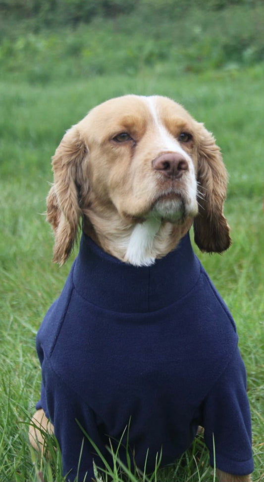 Valiant Dog Jumper Navy Blue