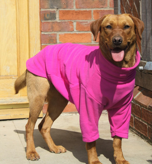 Valiant Dog Jumper Fuchsia Pink