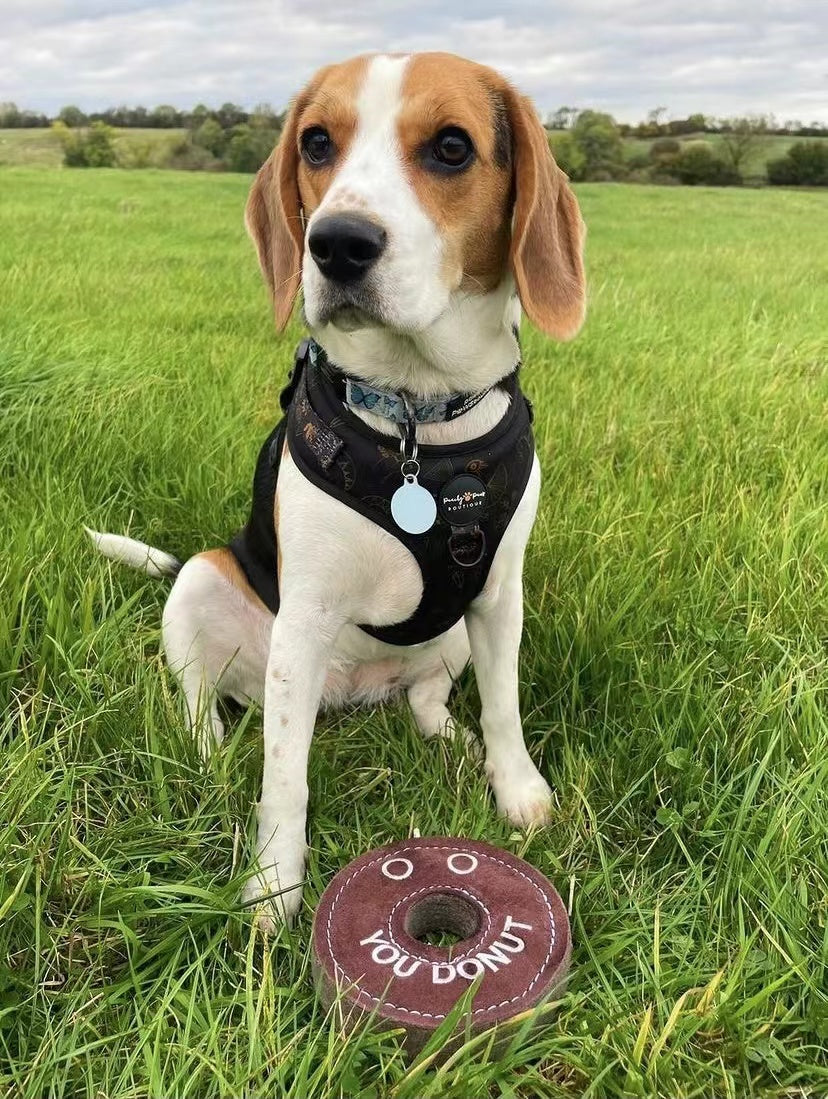 Green & Wilds Derrick the Donut