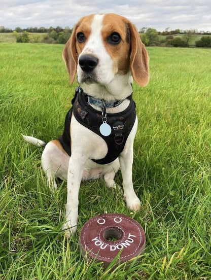 Green & Wilds Derrick the Donut