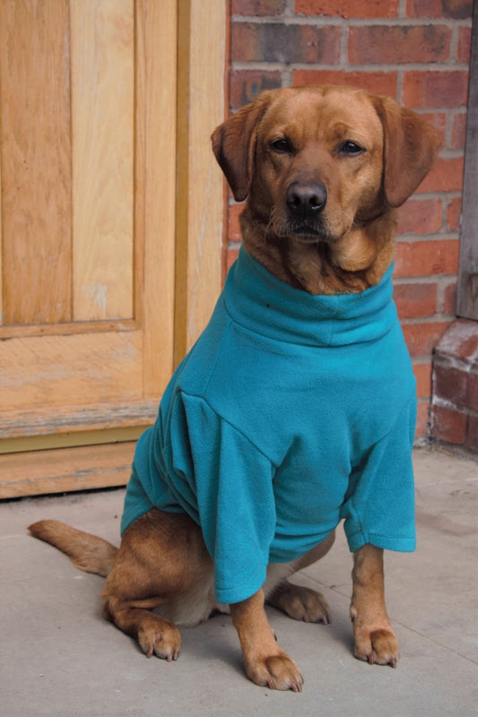 Valiant Dog Jumper Turquoise