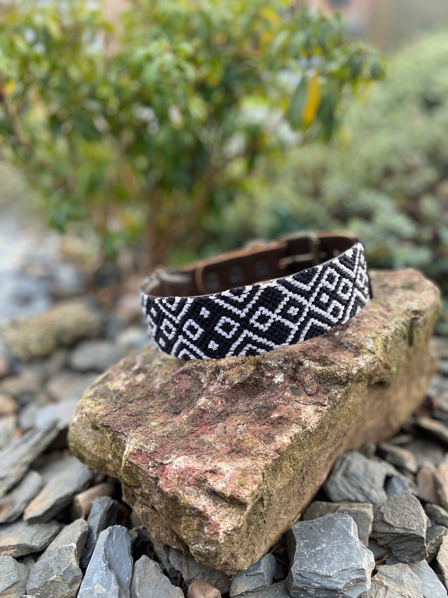 Featured Collar - Calavera (Large)