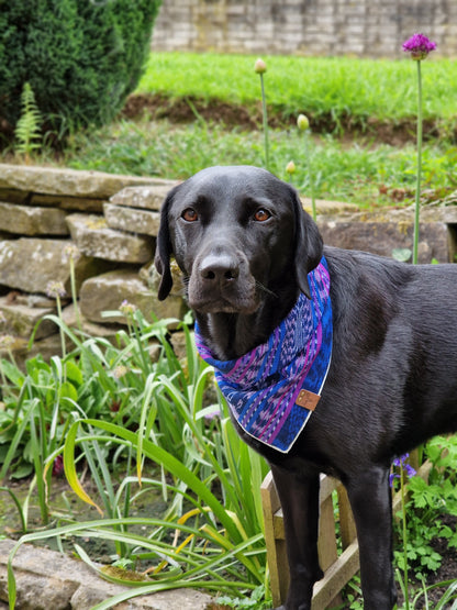 Moose Wear Icán Bandana