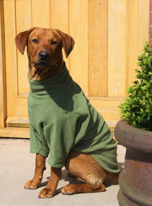 Valiant Dog Jumper Khaki Green