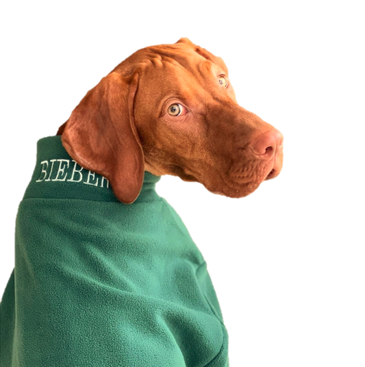 Valiant Dog Jumper Green