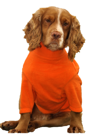 Valiant Dog Jumper Orange Totally Pet Products