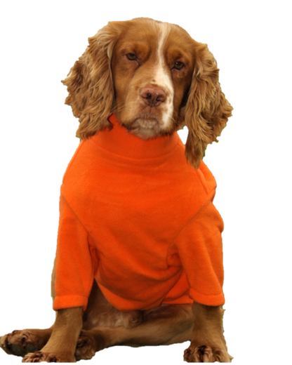 Valiant Dog Jumper Orange