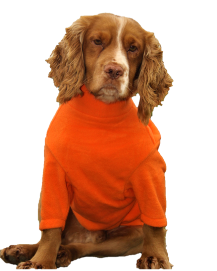 Valiant Dog Jumper Orange