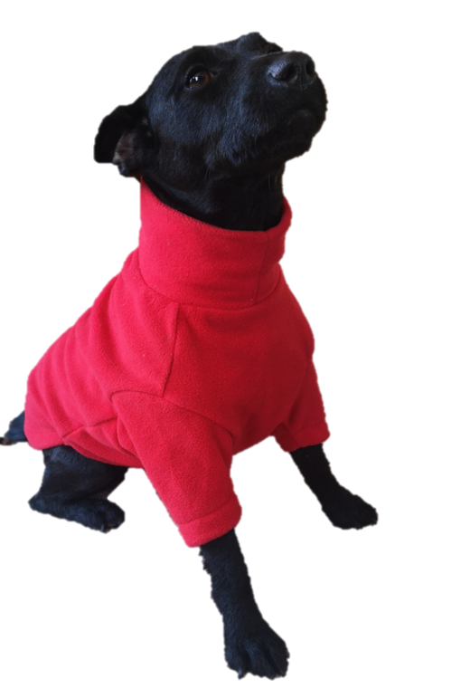 Valiant Dog Jumper Red